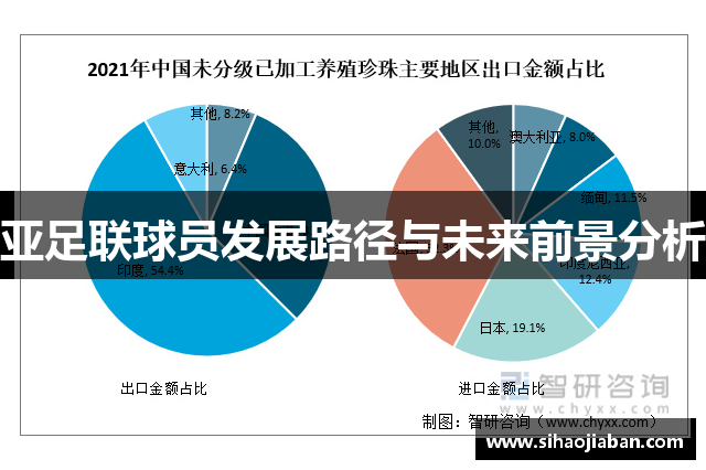 亚足联球员发展路径与未来前景分析